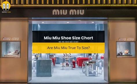 miu miu address|miu size chart.